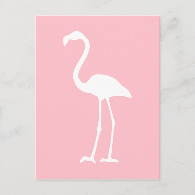 Pink and White Flamingo Postcard (Front)