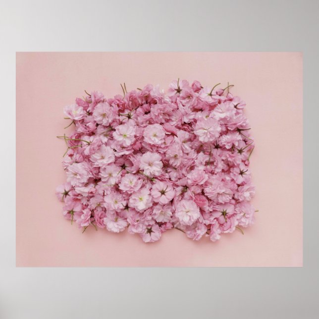 PINK AND WHITE FLOWER PETALS POSTER (Front)