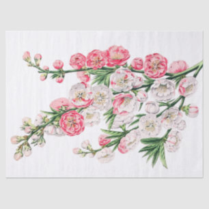 Pink and White Flower Sprays Tissue Paper