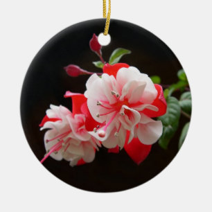 Pink and white fuchsia ceramic ornament