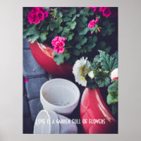 Pink and white garden geranium flowers