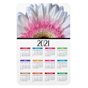 Pink and White Gerbera Daisy 2021 Calendar Magnet
