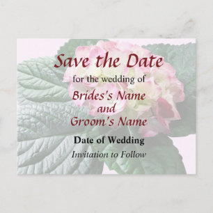 Pink and White Hydrangea save the Date Announcement Postcard