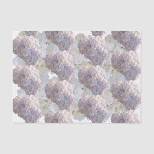 Pink and White Hydrangea Tissue Paper