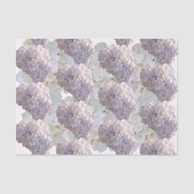 Pink and White Hydrangea Tissue Paper (Front)