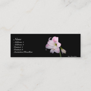 Pink and White Lily Card