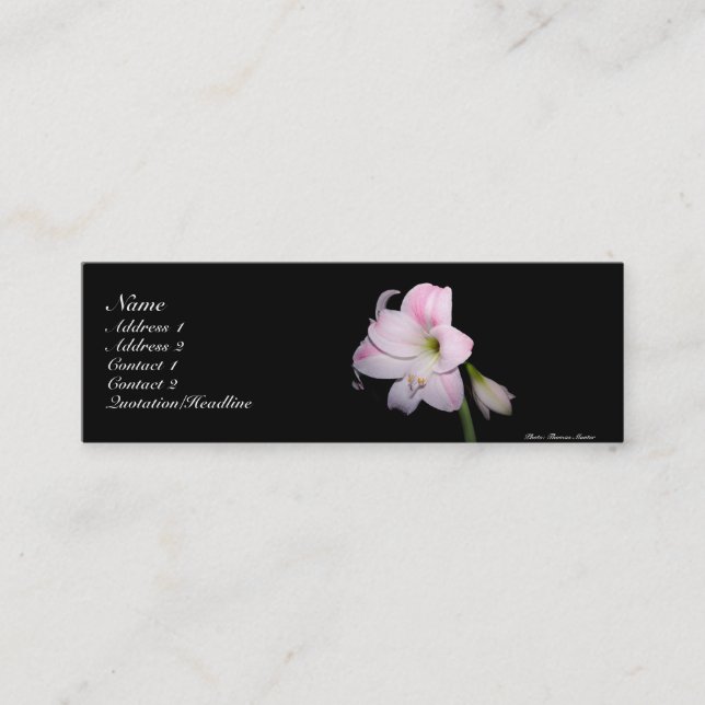 Pink and White Lily Card (Front)