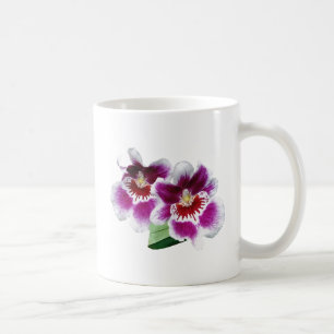 Pink and White Miltoniopsis Orchids Coffee Mug
