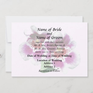 Pink and White Miltoniopsis Orchids Invitation