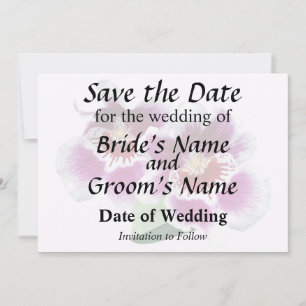 Pink and White Miltoniopsis Orchids Save The Date
