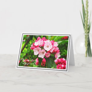 Pink and White Mountain Laurel Card