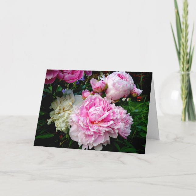 Pink and White Peonies Card (Front)