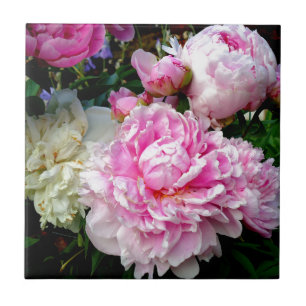 Pink and White Peonies Ceramic Tile