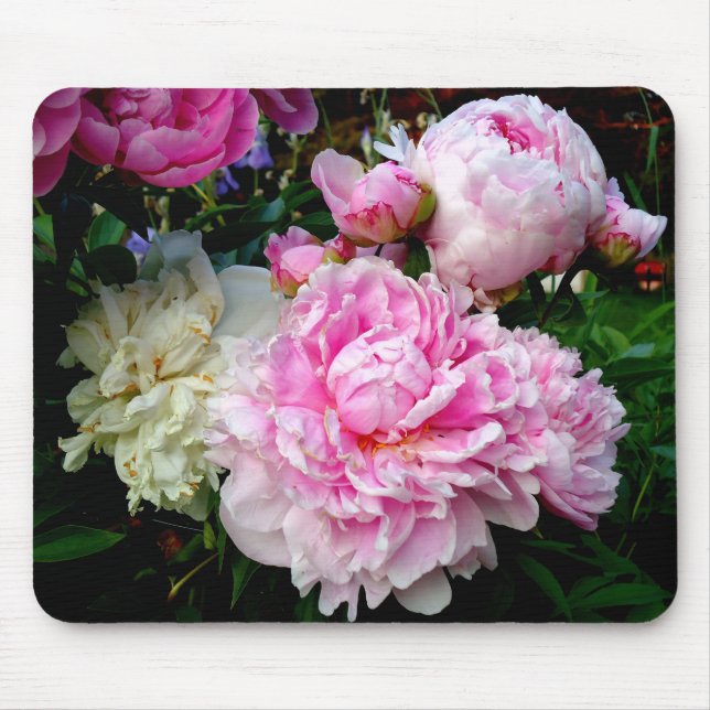 Pink and White Peonies Mouse Pad (Front)