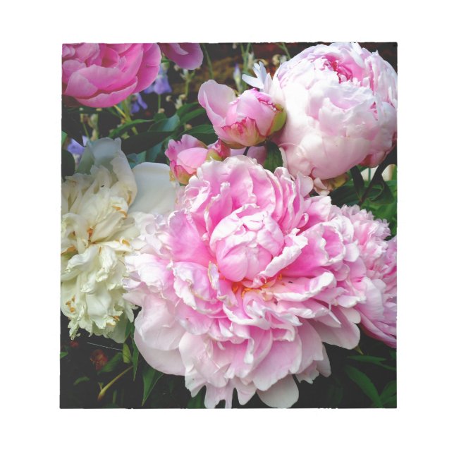 Pink and White Peonies Notepad (Front)