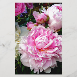 Pink and White Peonies Stationery