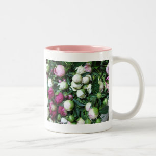 Pink and White Peony Buds Mug