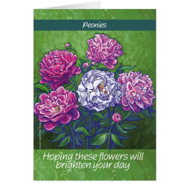 PInk and White Peony Flowers (Front)