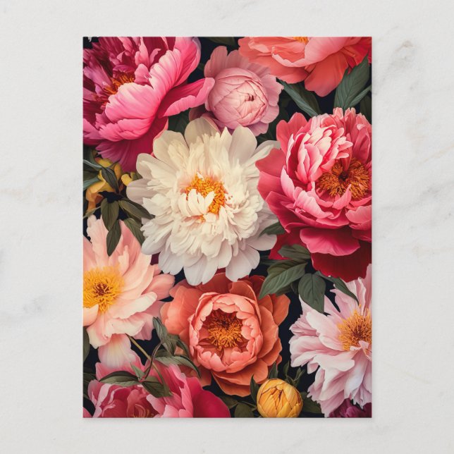 pink and white peony flowers with green leaves postcard (Front)