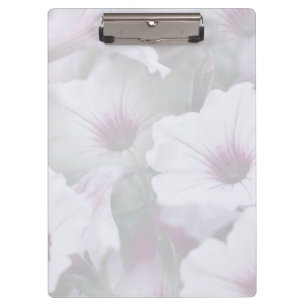 Pink And White Petunias  Clipboard