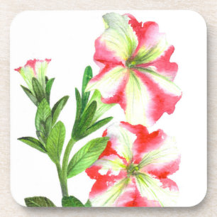 Pink and White Petunias Floral Art Coaster