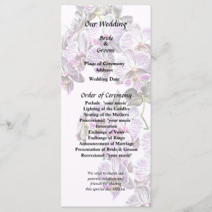 Pink and White Phalaenopsis Orchids Program