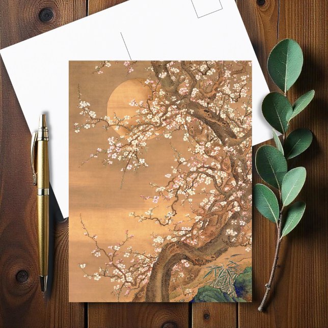 Pink and White Plum Blossoms in Moonlight, Shizan Postcard (Creator Uploaded)