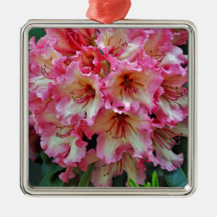 Pink and white rhododendron flowers metal ornament