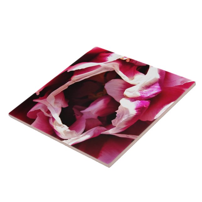 Pink and White Rose Ceramic Tile (Side)