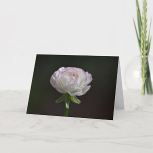 Pink and White Rose Notecards (Blank Inside)