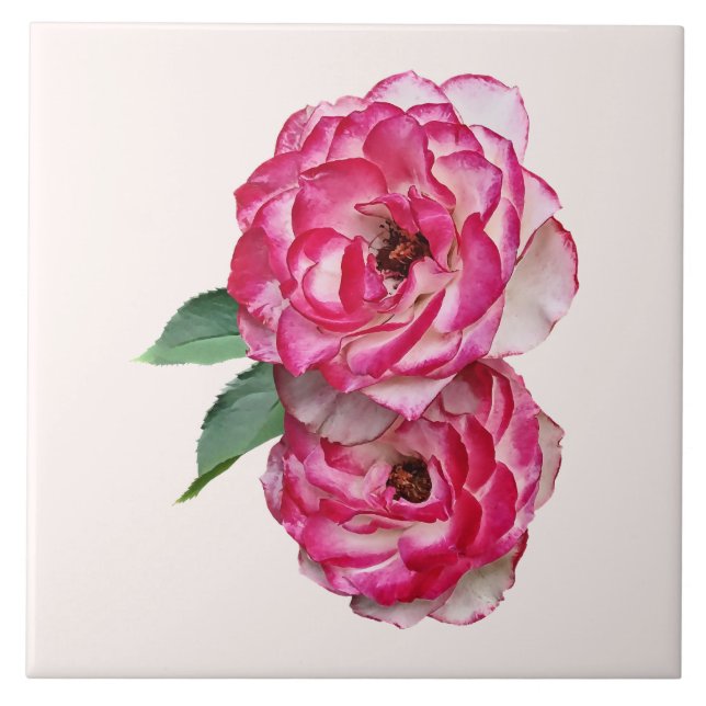 Pink and White Roses Ceramic Tile (Front)