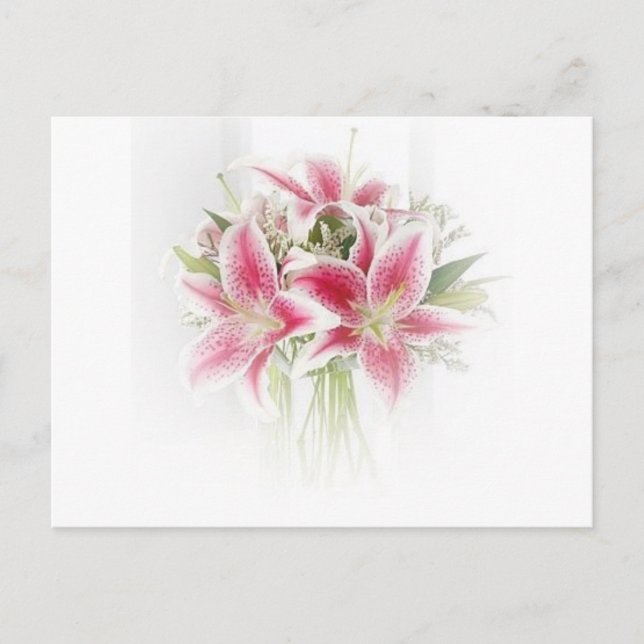 pink and white tiger lilies postcard (Front)