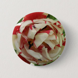 Pink and White Tulip Button