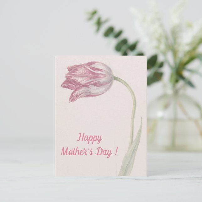Pink and White Tulip -  Fine Art Mother's Day Postcard (Standing Front)