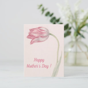 Pink and White Tulip - Fine Art Mother's Day Postcard