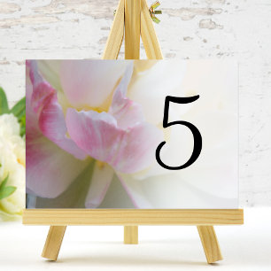 Pink and White Tulip Flower Table Numbers