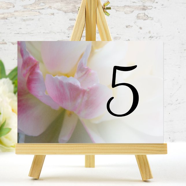 Pink and White Tulip Flower Table Numbers (Creator Uploaded)