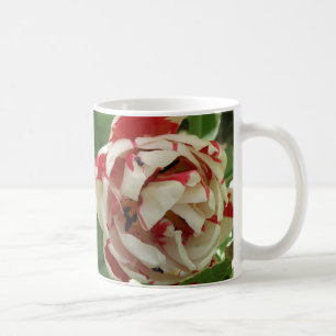 Pink and White Tulip Mug