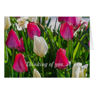 Pink And White Tulips Painterly Thinking Of You