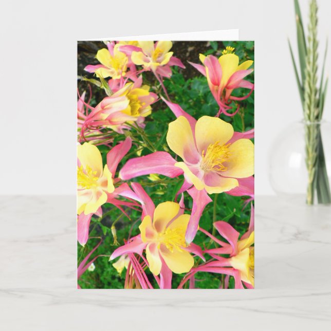 Pink and Yellow Columbines Thank You Card (Front)