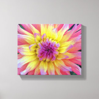 Pink and Yellow Dahlia Canvas Print