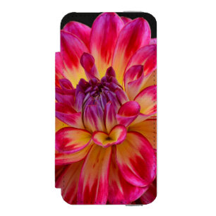 Pink and yellow dahlia flower incipio watson™ iPhone 5 wallet case