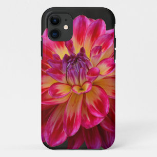 Pink and yellow dahlia flower iphone case