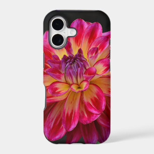 Pink and yellow dahlia flower iphone case