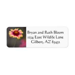 Pink and Yellow Desert Daisy Return Address Label