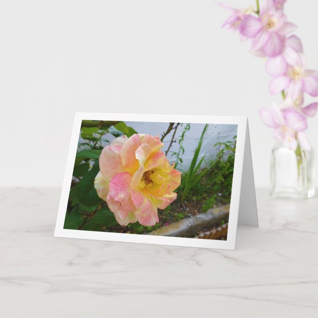 Pink and Yellow Floral Rose Card (Orchid)