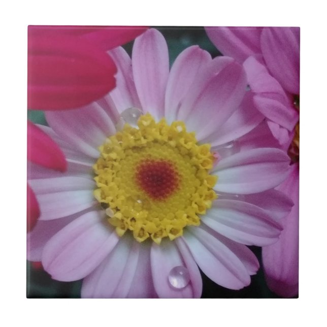 Pink and yellow flower ceramic tile (Front)