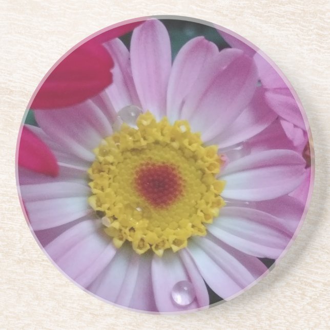 Pink and yellow flower coaster (Front)