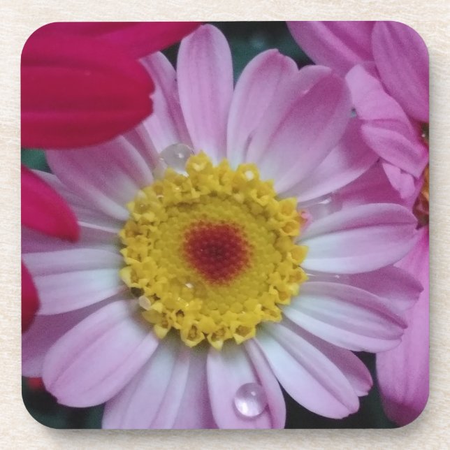 Pink and yellow flower coaster (Front)