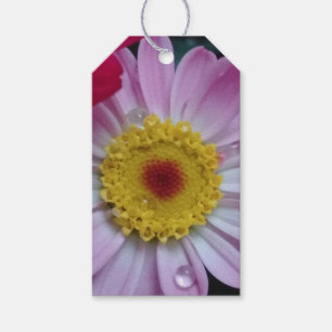 Pink and yellow flower gift tags